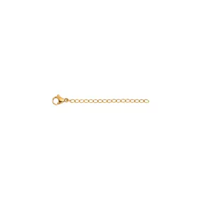 2-Inch Chain Extender (Gold)