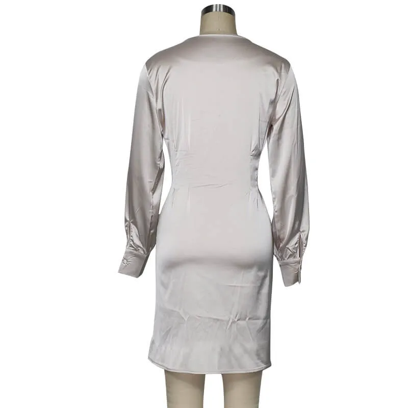 Casual Long Sleeve Deep V Neck Mini Dress