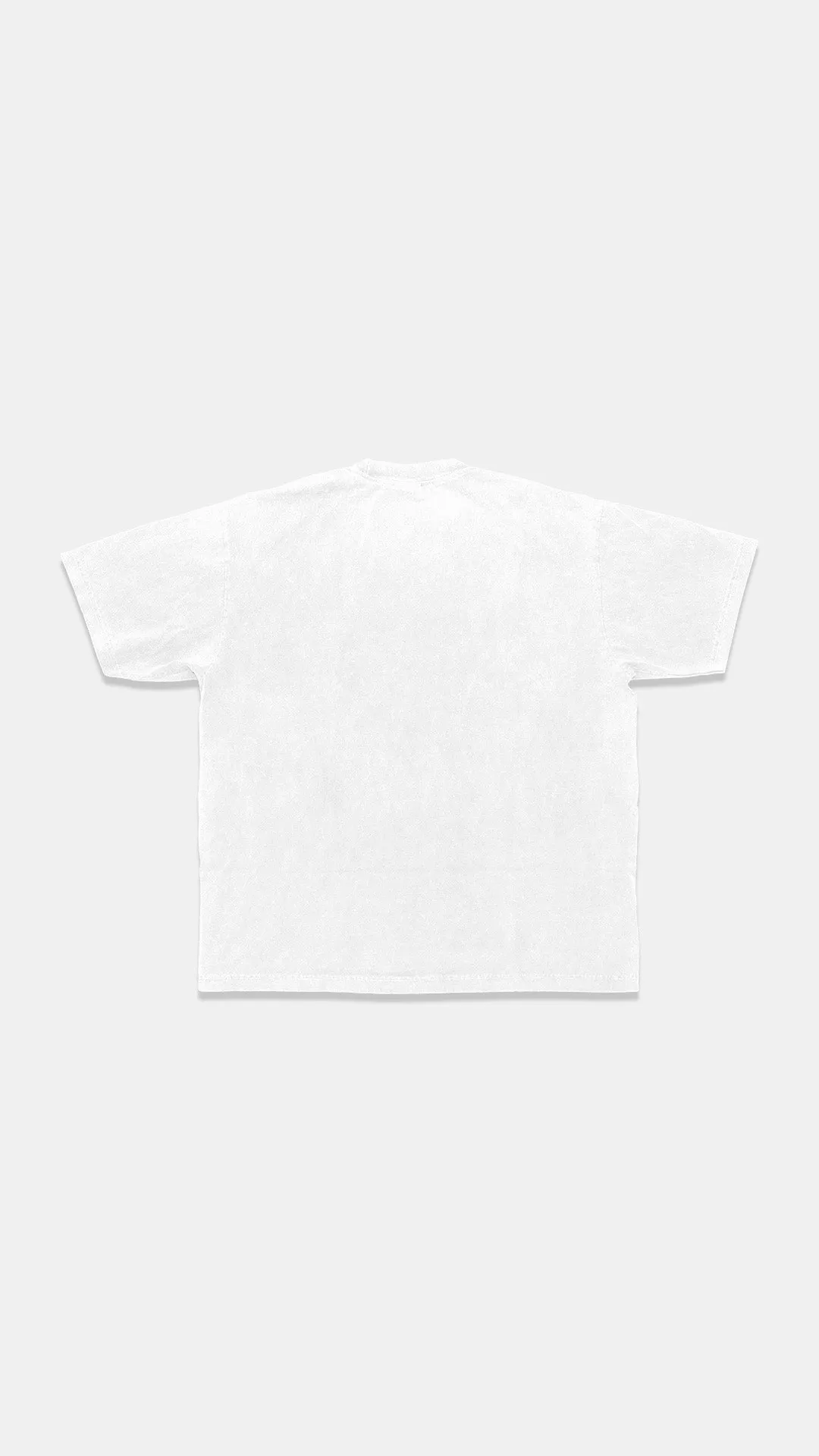 HeavyKnit Centerpiece Tee - White