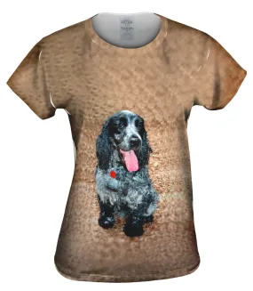 Salt And Pepper Cocker Spaniel
